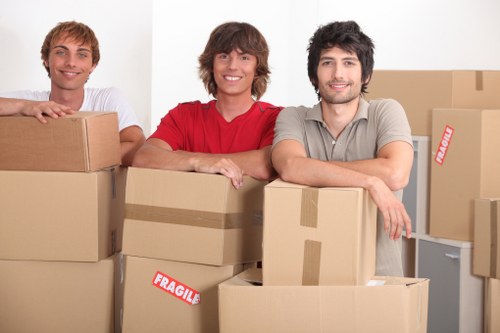 Professional man and van service handling a home relocation in Welling