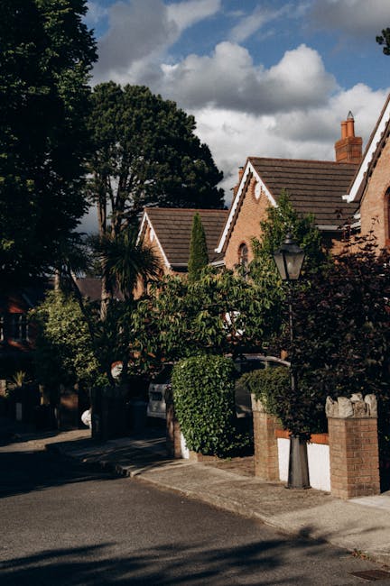 A panoramic view of a residential area showing multiple rows of terraced and semi-detached houses with pitched roofs, some with chimneys, on a hillside during daytime with clear blue sky and scattered clouds. In the foreground, leafless tree branches partially obscure the lower part of the scene, indicating it might be late autumn or winter. The houses vary in color, including shades of white, beige, and grey, with some featuring small front yards or garden fences. The landscape suggests a densely populated urban suburb. This image relates to house removals and moving services provided by Man and Van Welling, illustrating a typical neighbourhood where home relocation, furniture transport, and packing and moving are conducted, with the residential layout demonstrating the context for house removals services in Welling.